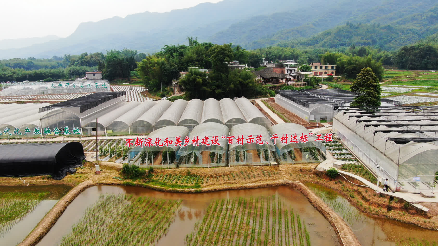 市人大常委会副主任叶盛到长宁调研